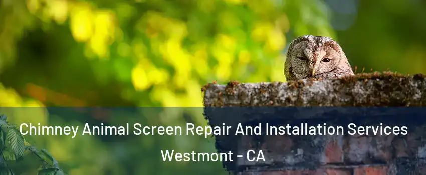  Chimney Animal Screen Repair And Installation Services Westmont - CA