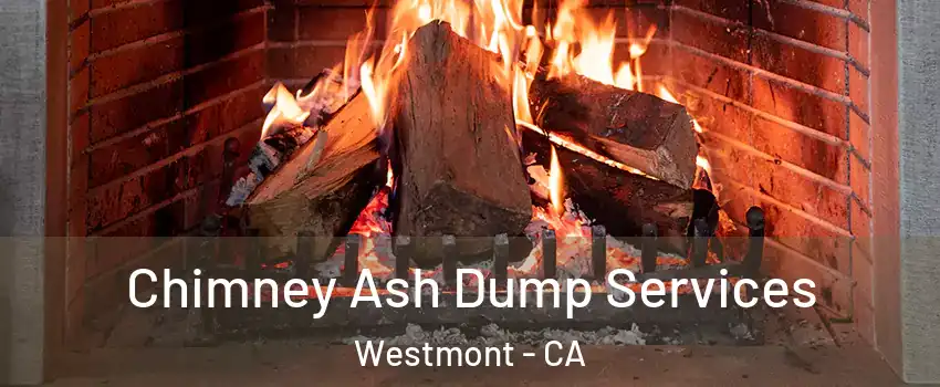  Chimney Ash Dump Services Westmont - CA