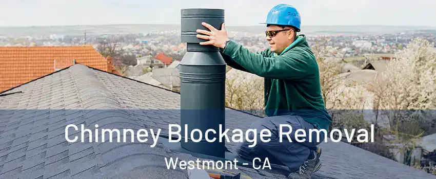  Chimney Blockage Removal Westmont - CA