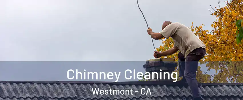  Chimney Cleaning Westmont - CA