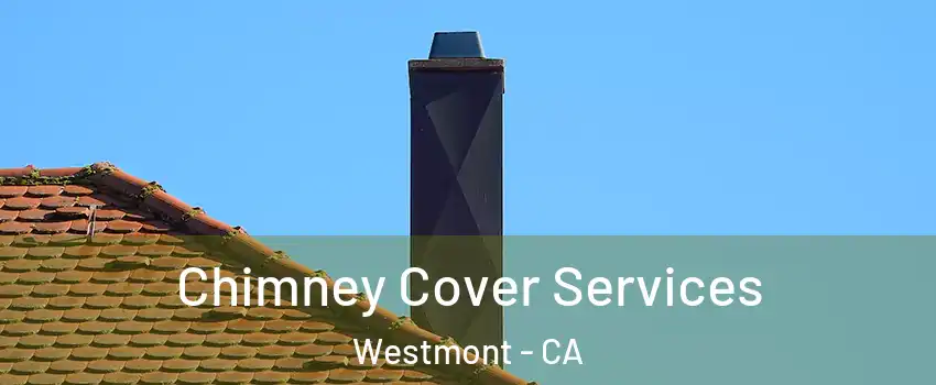  Chimney Cover Services Westmont - CA
