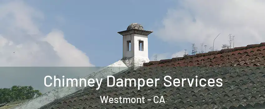  Chimney Damper Services Westmont - CA