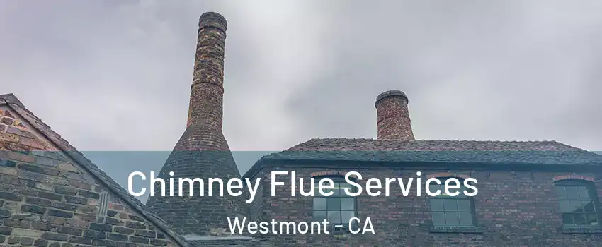  Chimney Flue Services Westmont - CA
