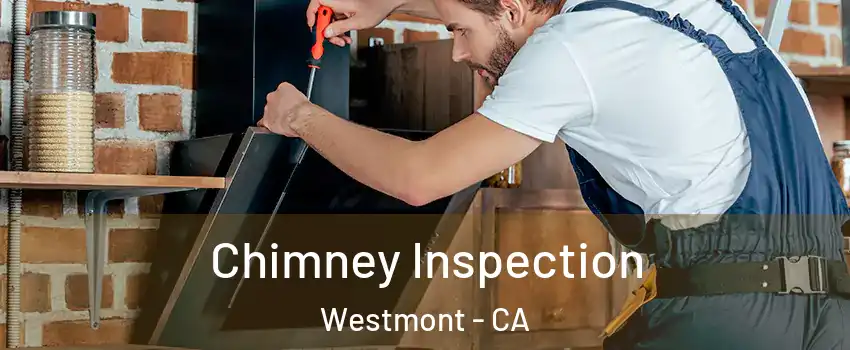  Chimney Inspection Westmont - CA