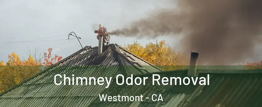  Chimney Odor Removal Westmont - CA