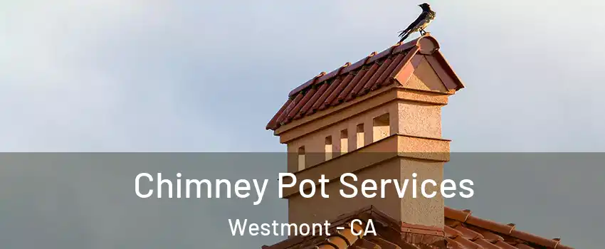  Chimney Pot Services Westmont - CA