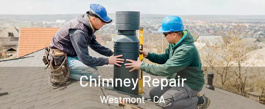  Chimney Repair Westmont - CA