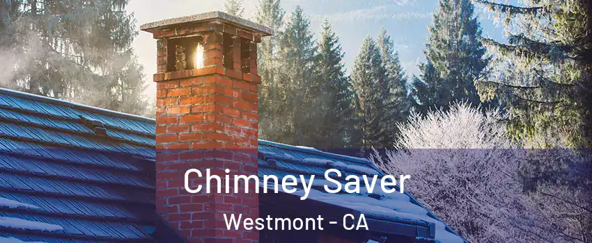  Chimney Saver Westmont - CA
