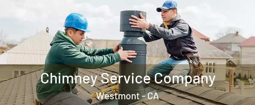 Chimney Service Company Westmont - CA