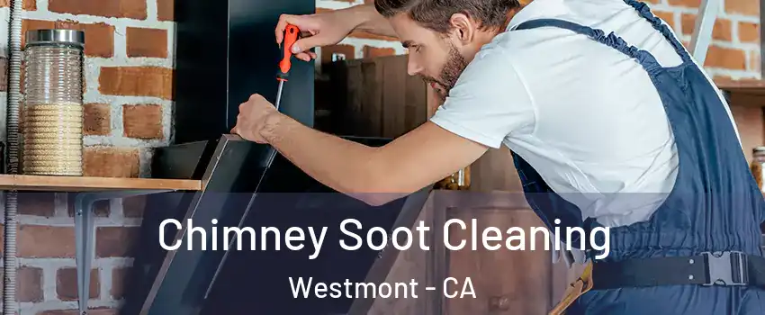  Chimney Soot Cleaning Westmont - CA