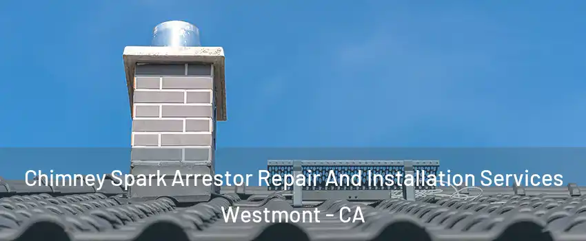  Chimney Spark Arrestor Repair And Installation Services Westmont - CA