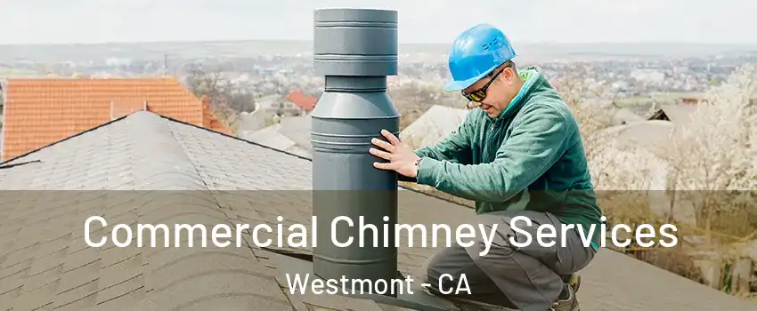  Commercial Chimney Services Westmont - CA