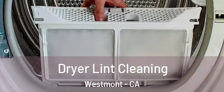  Dryer Lint Cleaning Westmont - CA