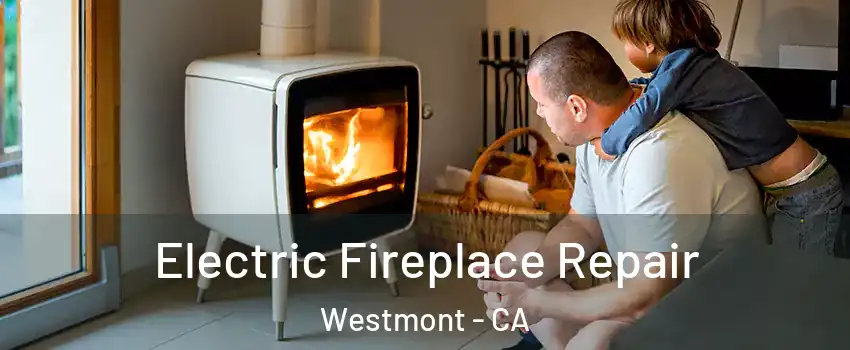  Electric Fireplace Repair Westmont - CA