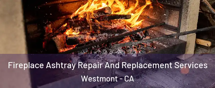  Fireplace Ashtray Repair And Replacement Services Westmont - CA