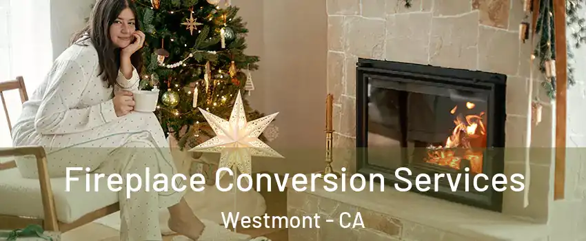  Fireplace Conversion Services Westmont - CA