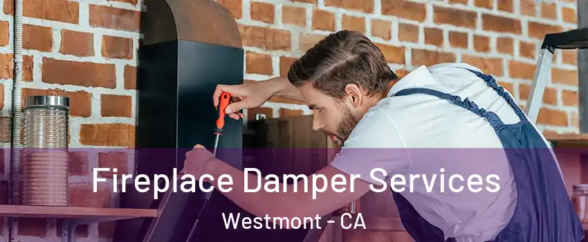  Fireplace Damper Services Westmont - CA