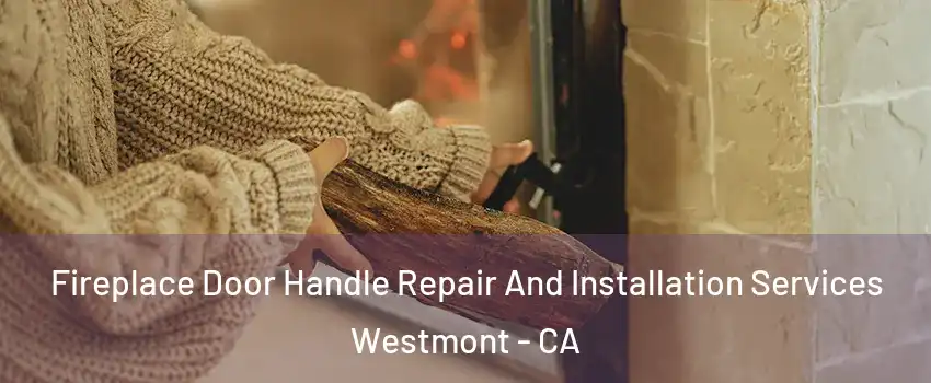  Fireplace Door Handle Repair And Installation Services Westmont - CA
