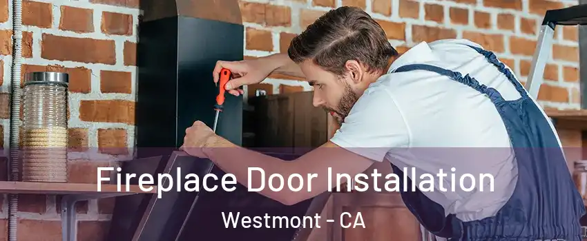  Fireplace Door Installation Westmont - CA