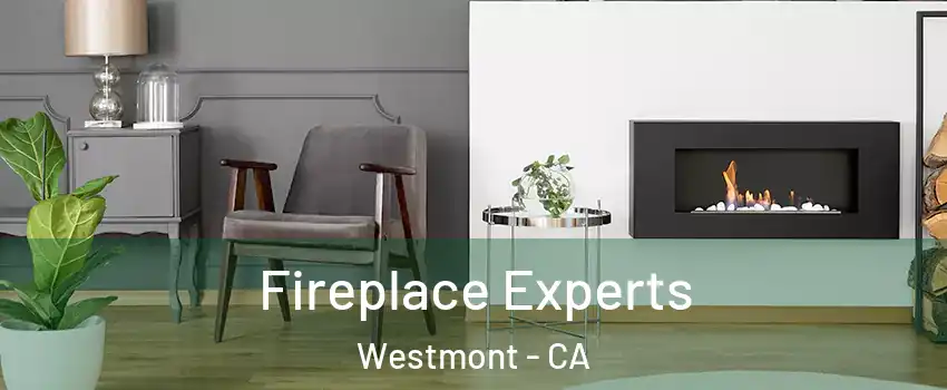  Fireplace Experts Westmont - CA