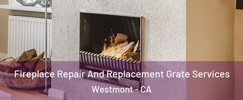  Fireplace Repair And Replacement Grate Services Westmont - CA