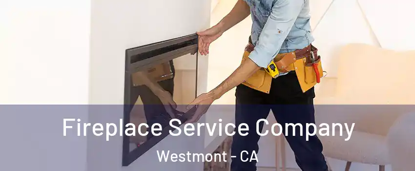  Fireplace Service Company Westmont - CA