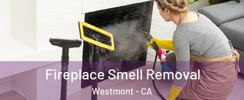  Fireplace Smell Removal Westmont - CA