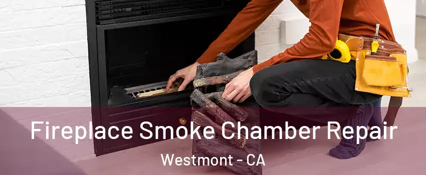  Fireplace Smoke Chamber Repair Westmont - CA