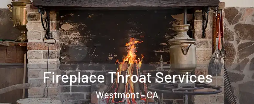  Fireplace Throat Services Westmont - CA