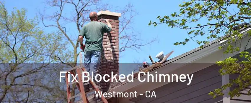  Fix Blocked Chimney Westmont - CA