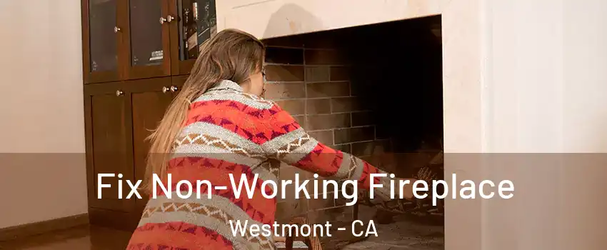  Fix Non-Working Fireplace Westmont - CA