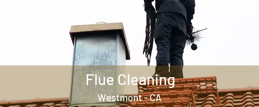 Flue Cleaning Westmont - CA