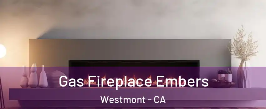  Gas Fireplace Embers Westmont - CA