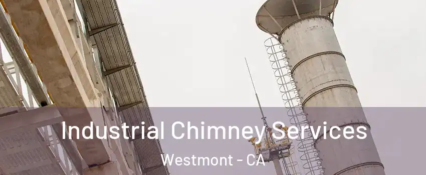  Industrial Chimney Services Westmont - CA