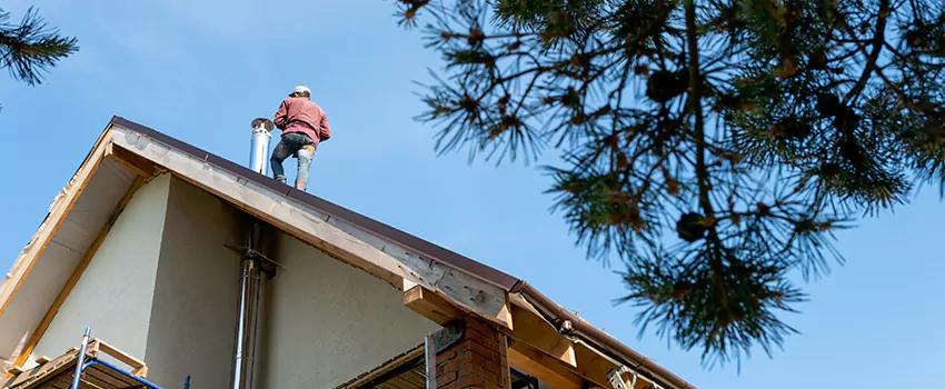 Birds Removal Contractors from Chimney in Westmont, CA