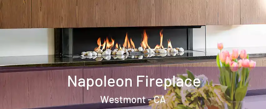  Napoleon Fireplace Westmont - CA