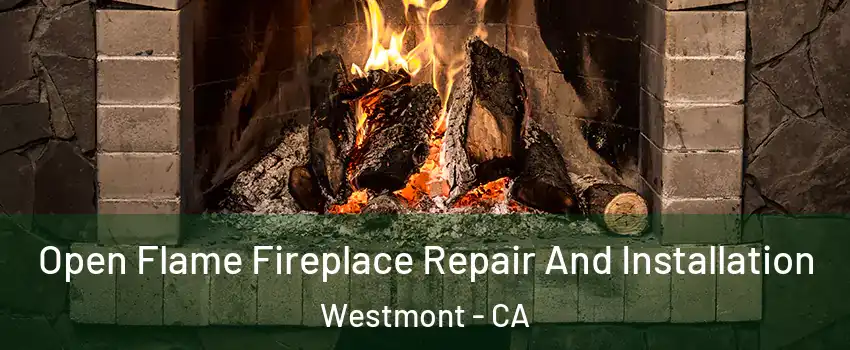  Open Flame Fireplace Repair And Installation Westmont - CA