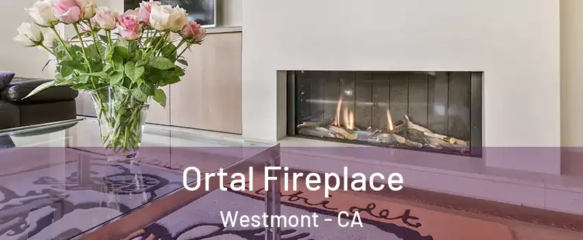 Ortal Fireplace Westmont - CA