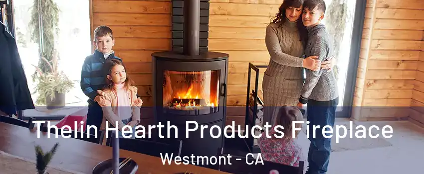  Thelin Hearth Products Fireplace Westmont - CA