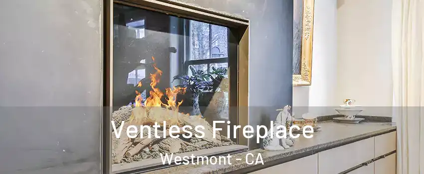  Ventless Fireplace Westmont - CA