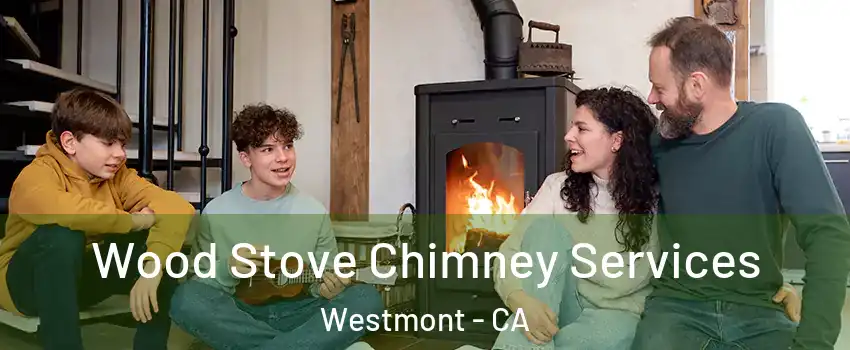  Wood Stove Chimney Services Westmont - CA